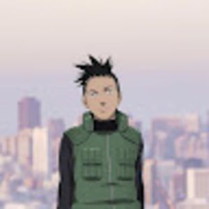 Meet your Posher, Dorothy